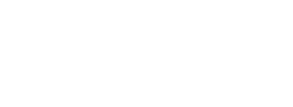 The Lease Negotiator